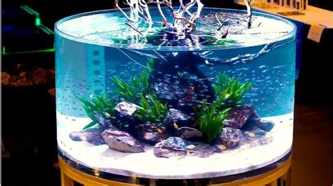 12生肖六合彩 圓形魚缸造景